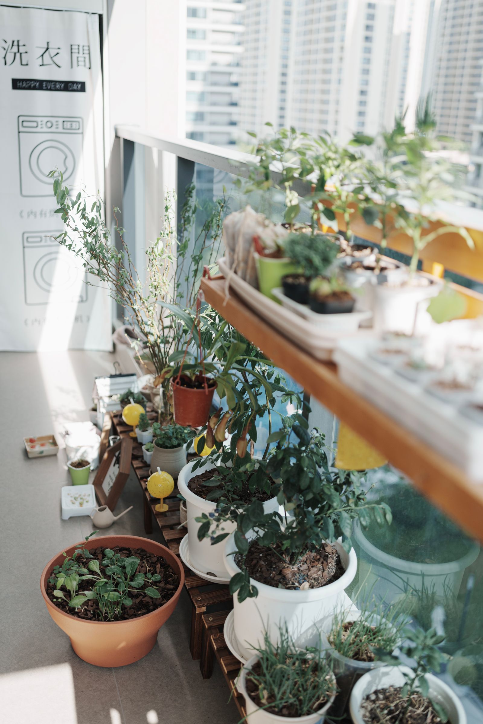 Balcon de apartament plin cu ghivece de plante și verdețuri