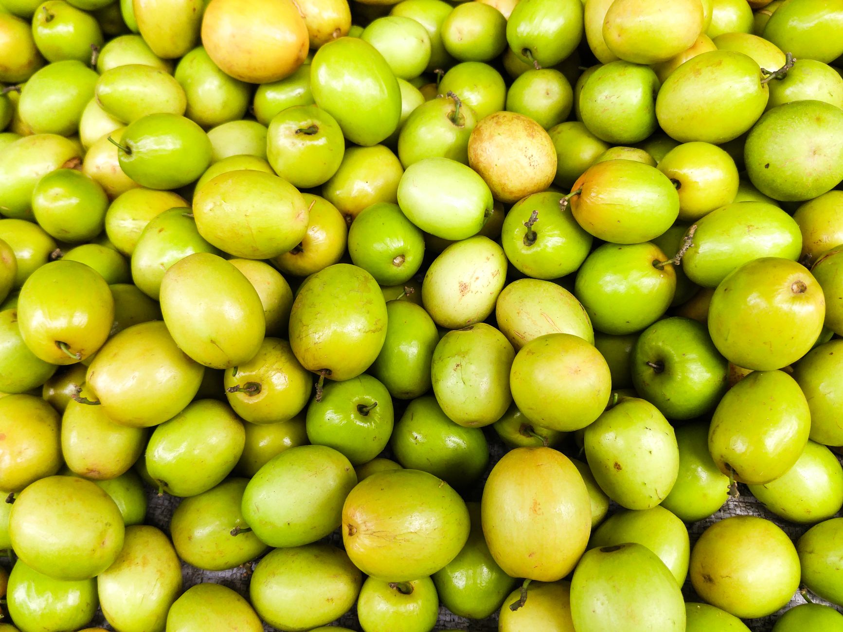 Fructe de curmal chinezesc, verzi-gălbui, strânse grămadă